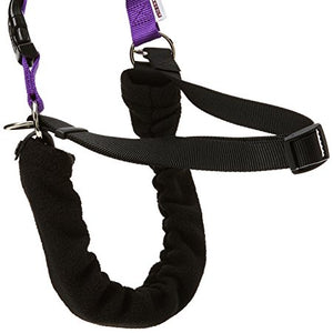 Ancol/Pure Dog Listeners - Stop Pulling Dog Training Harness & Lead Set - Large Size 7-8 (inc DVD)