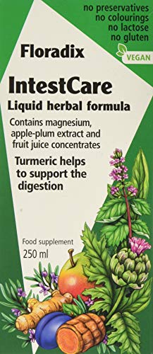 Floradix Intestcare  250ml