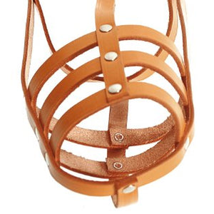 English Muzzle Natural Size 05