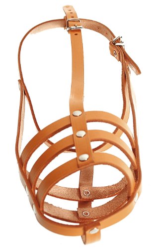 English Muzzle Natural Size 04