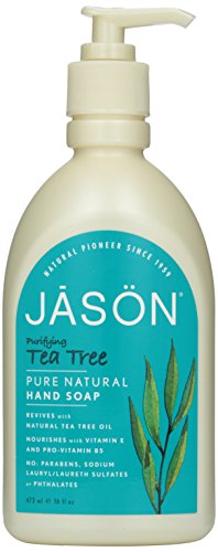 Pack of 1 x Jason Pure Natural Purifying Tea Tree Hand Soap - 16 fl oz