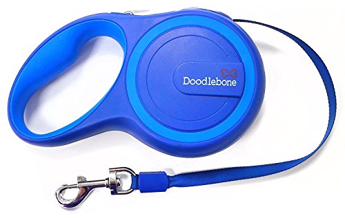 Rambler Blue 5M| Doodlebone