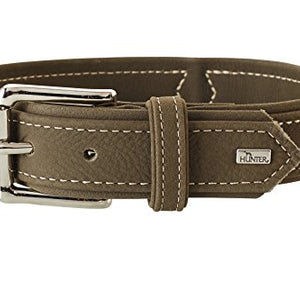 Collar Hunting, 40 Olive, Leather | Hunter
