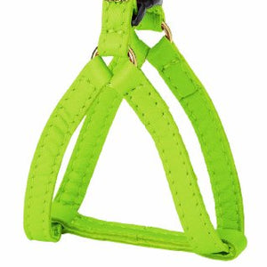 Harness Petite Princesse Ruby 15