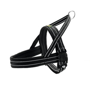 Norwegian Harness Meldal, M Mesh, Schwarz | Hunter