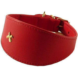 Collar Levrier Ruby 35