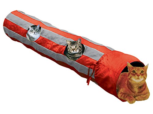 Long Cat Tunnel | Fadulla