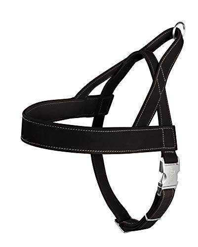 Norwegian Harness Hunting M Nubuk Lethaer Black | Hunter