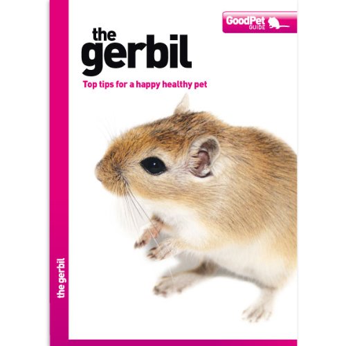 The Gerbil - The Good Pet Guide