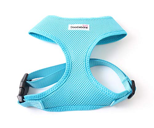 Snappy Mesh Harness Cyan X-Small| Doodlebone