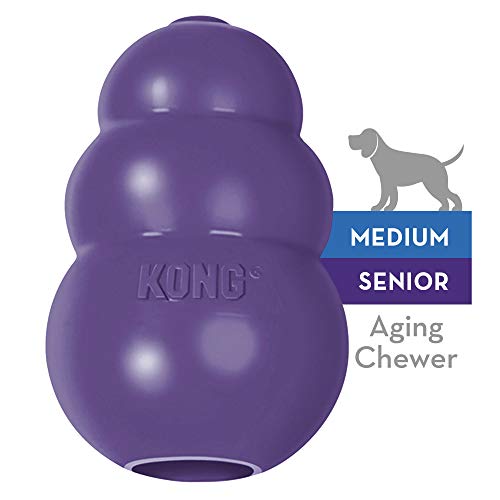 Kong Senior Medium  3 Pcs Pack | Hunter