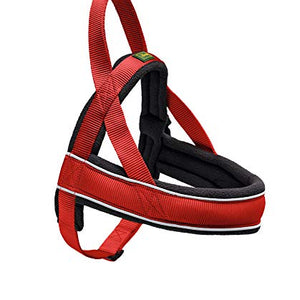 Norwegian Harness Racing M Nylon Red/Fleece Black