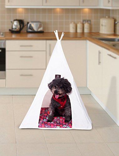 Pet Tepee Small Igsm Ltd