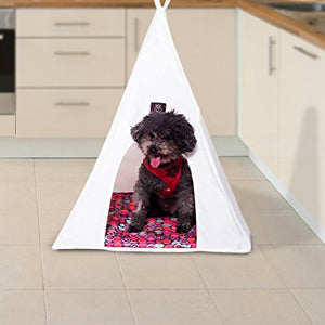 Pet Tepee Small Igsm Ltd