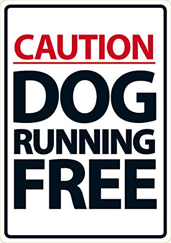 Caution Dog Running Free