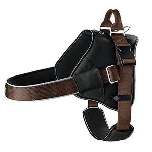 Harness Neopren Expert Xl 74-110 Cm, 38 Mm Nylon Brown/ Black/ Black | Hunter
