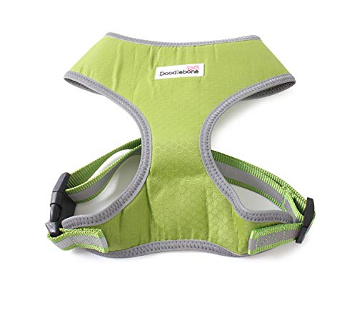 Toughie Harness Apple Green  X-Small | Doodlebone