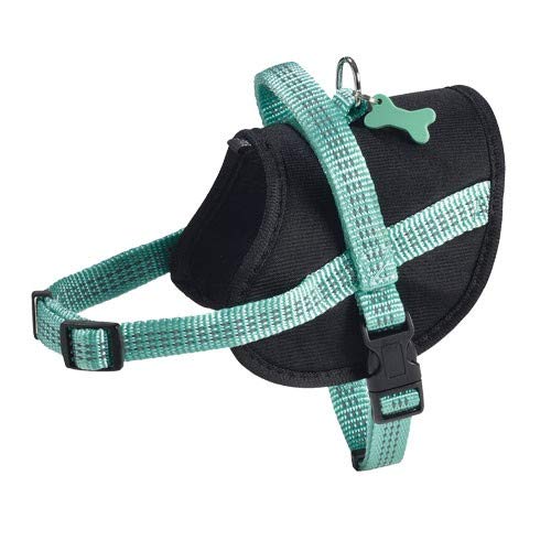 Harness Easy Safe Lagoon M