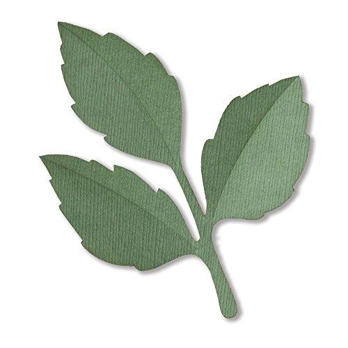 Sizzix Framelits Die - 662404 Leaves by David Tutera