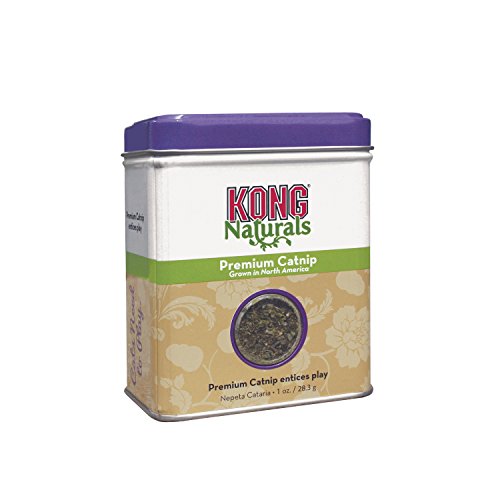 Kong Catnip Premium (1Oz) | Gorpets