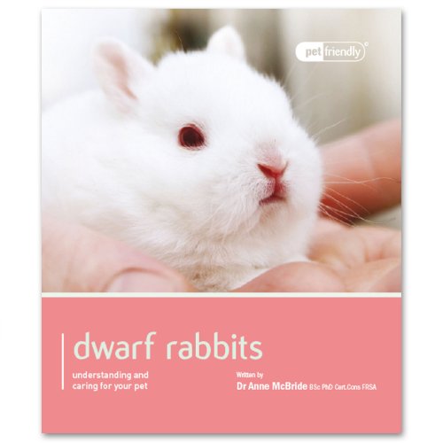 Dwarf & Mini Rabbits - Pet Friendly