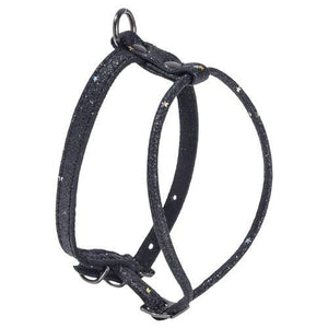 Harness Cosmos Black 40