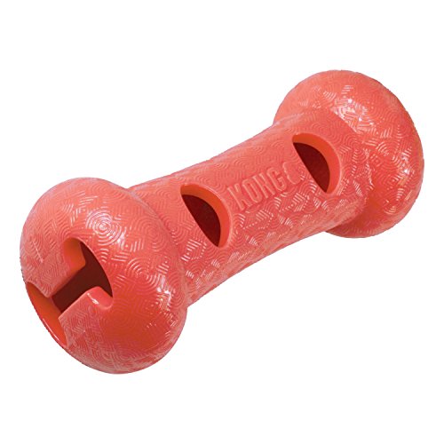 Kong Quest Foragers Dumbbell