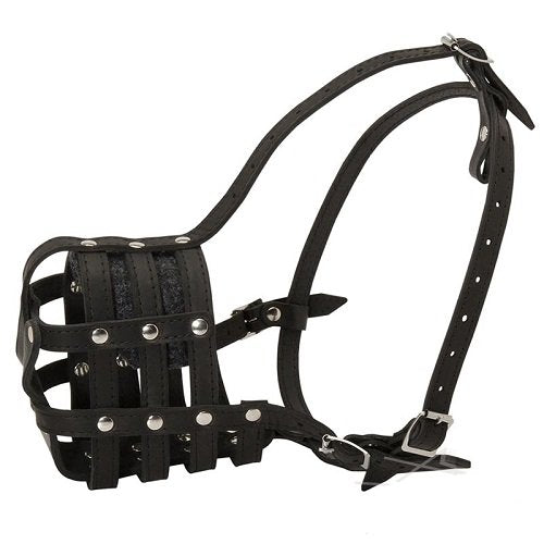 English Muzzle Black Size 06