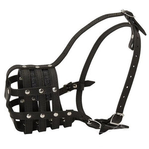 English Muzzle Black Size 06