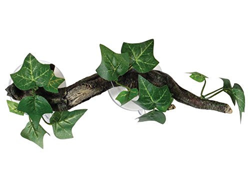 Sucker Mounted Branch With Flora | Fadulla