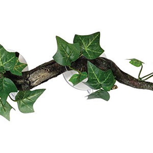 Sucker Mounted Branch With Flora | Fadulla