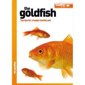 The Goldfish - Good Pet Guide