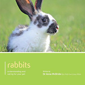 Rabbit - Pet Friendly