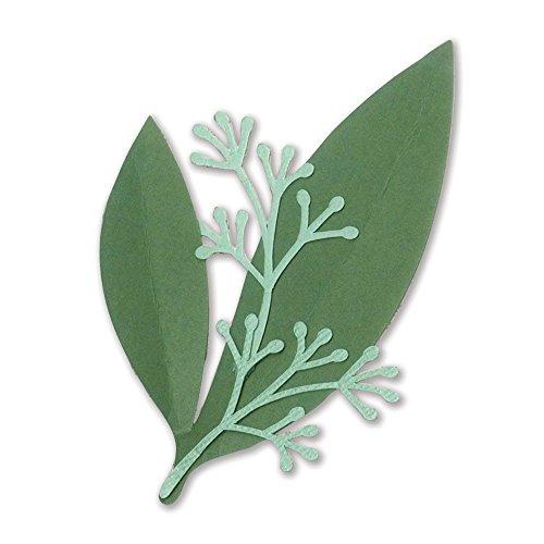 Sizzix 662403 Framelits Die Set, Green