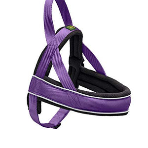 Norwegian Harness Racing Gr. Xl Nylon Violet/Fleece Black