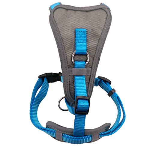 X-Over Harness Cyan Large| Doodlebone