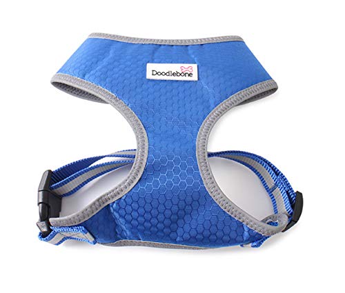 Toughie Harness Blue X-Large| Doodlebone
