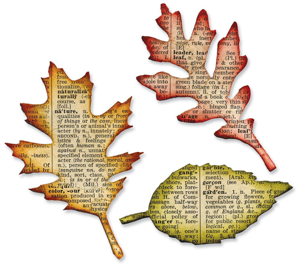 Sizzix Bigz Die - Tattered Leaves by Tim Holtz
