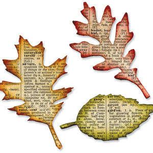 Sizzix Bigz Die - Tattered Leaves by Tim Holtz