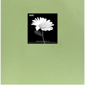 Pioneer 8 1/2 Inch by 11 Inch Postbound Frame Cover Memory Book, Sage Green