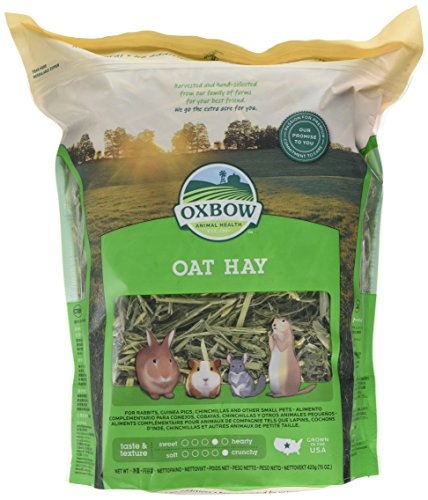 Oxbow Oat Hay 425G | Petlife International Ltd