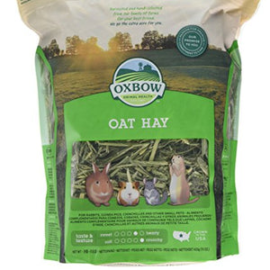 Oxbow Oat Hay 425G | Petlife International Ltd