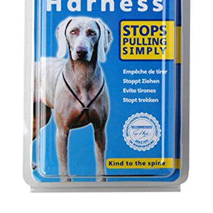 Lupi Harness Medium Black | Gor Pets
