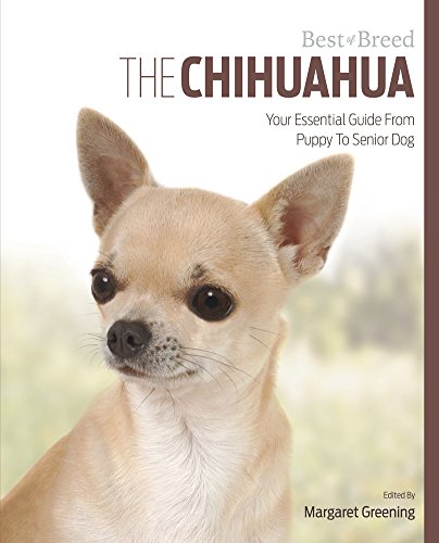 Chihuahua Best Of Breed - Paperback