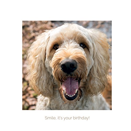 Smile, It'S Your Birthday!
