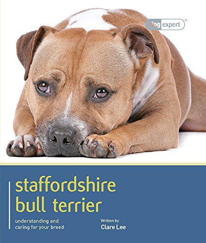 Staffordshire Bull Terrier - Dog Expert