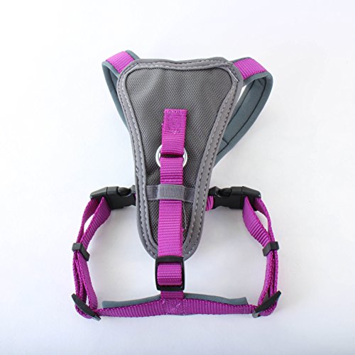 X-Over Harness Purple Small | Doodlebone