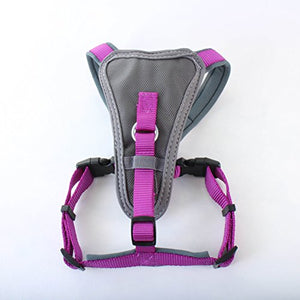 X-Over Harness Purple Small | Doodlebone