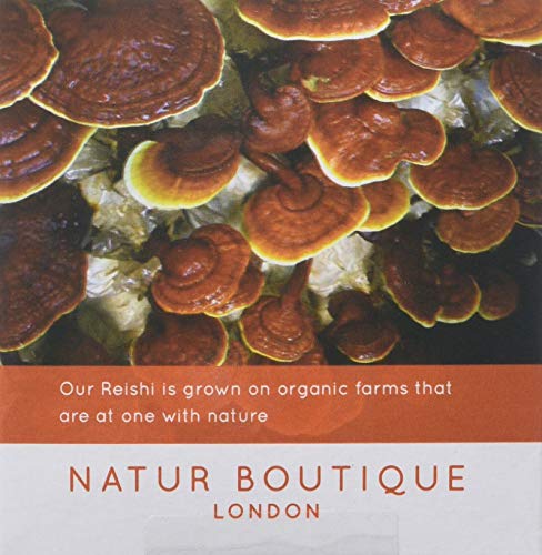 Natur Boutique Reishi Tea sachets, 20-Counts