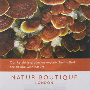 Natur Boutique Reishi Tea sachets, 20-Counts
